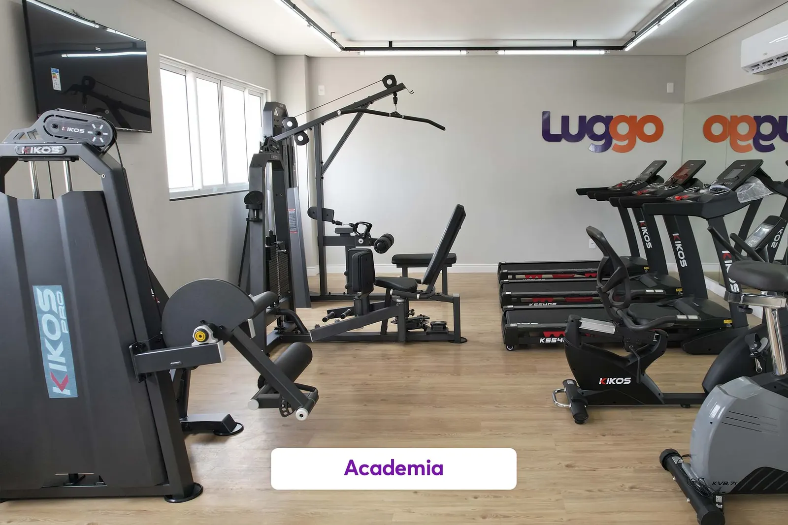 Academia